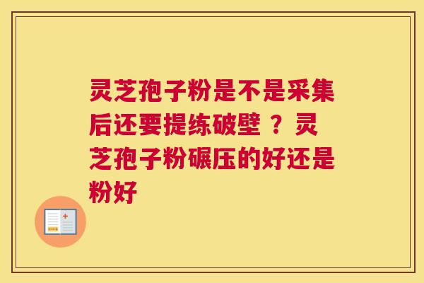 灵芝孢子粉是不是采集后还要提练破壁 ？灵芝孢子粉碾压的好还是粉好