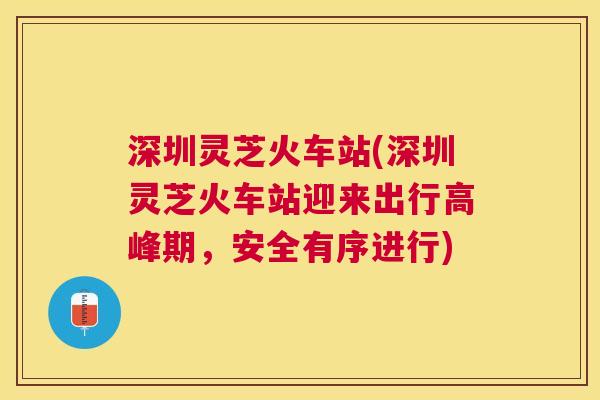 深圳灵芝火车站(深圳灵芝火车站迎来出行高峰期，安全有序进行)