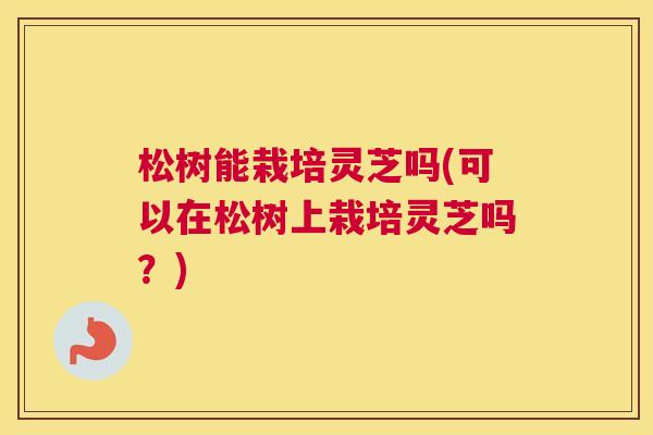 松树能栽培灵芝吗(可以在松树上栽培灵芝吗？)