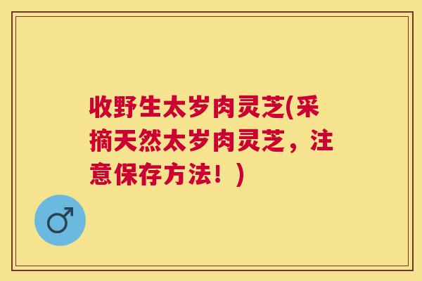 收野生太岁肉灵芝(采摘天然太岁肉灵芝，注意保存方法！)