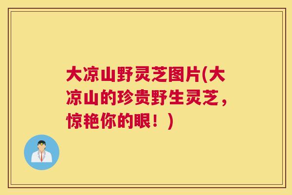 大凉山野灵芝图片(大凉山的珍贵野生灵芝，惊艳你的眼！)