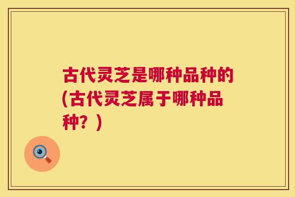 古代灵芝是哪种品种的(古代灵芝属于哪种品种？)