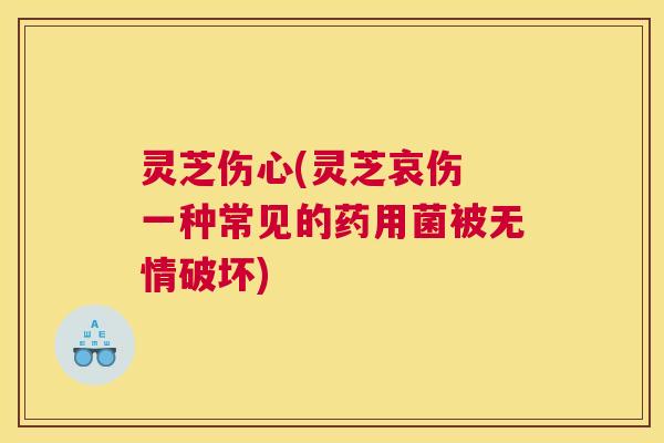 灵芝伤心(灵芝哀伤 一种常见的药用菌被无情破坏)