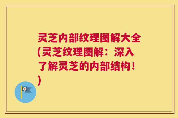 灵芝内部纹理图解大全(灵芝纹理图解：深入了解灵芝的内部结构！)