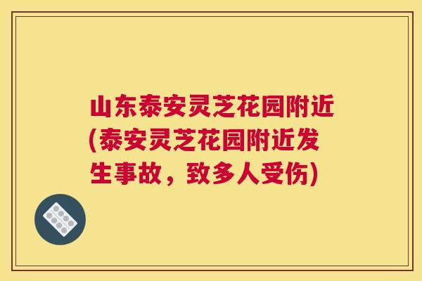 山东泰安灵芝花园附近(泰安灵芝花园附近发生事故，致多人受伤)