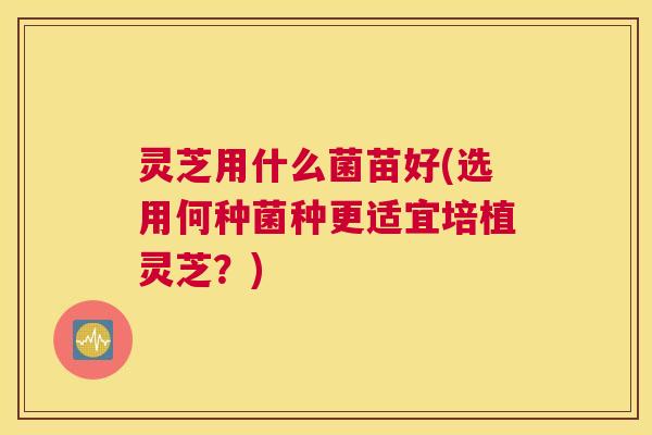 灵芝用什么菌苗好(选用何种菌种更适宜培植灵芝？)