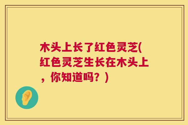 木头上长了红色灵芝(红色灵芝生长在木头上，你知道吗？)