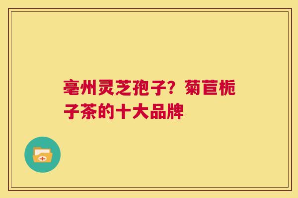 亳州灵芝孢子？菊苣栀子茶的十大品牌