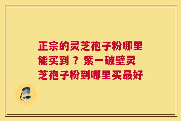 正宗的灵芝孢子粉哪里能买到 ？紫一破壁灵芝孢子粉到哪里买好