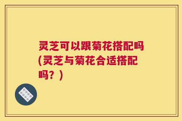 灵芝可以跟菊花搭配吗(灵芝与菊花合适搭配吗？)