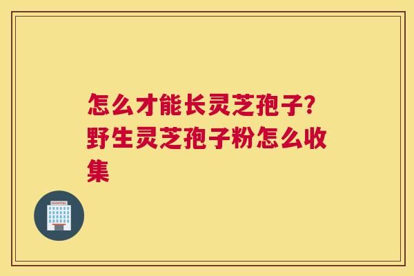 怎么才能长灵芝孢子？野生灵芝孢子粉怎么收集