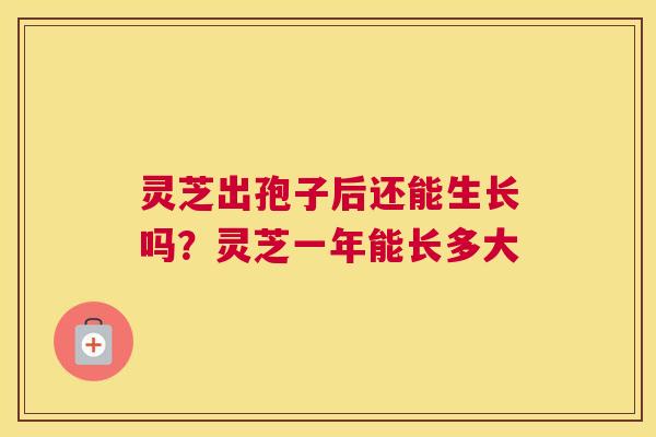 灵芝出孢子后还能生长吗？灵芝一年能长多大