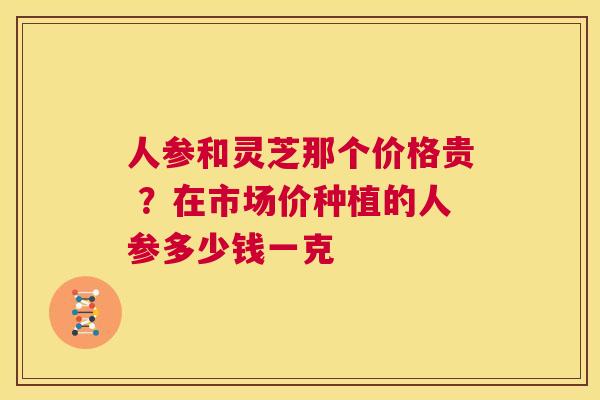 人参和灵芝那个价格贵 ？在市场价种植的人参多少钱一克