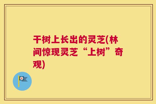 干树上长出的灵芝(林间惊现灵芝“上树”奇观)
