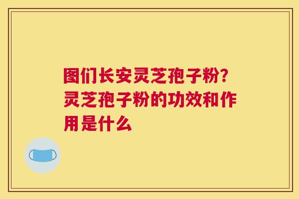 图们长安灵芝孢子粉？灵芝孢子粉的功效和作用是什么