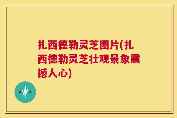 扎西德勒灵芝图片(扎西德勒灵芝壮观景象震撼人心)