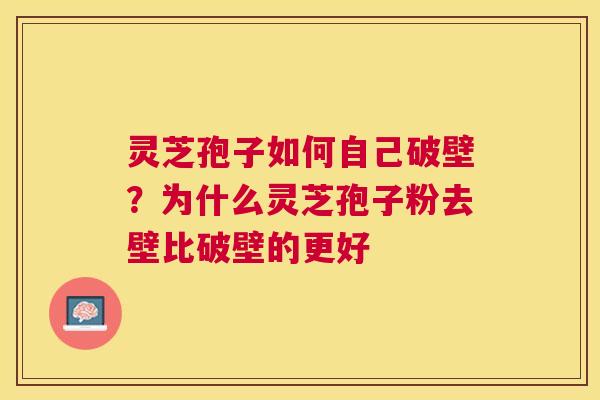灵芝孢子如何自己破壁？为什么灵芝孢子粉去壁比破壁的更好