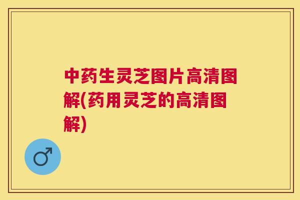 生灵芝图片高清图解(药用灵芝的高清图解)
