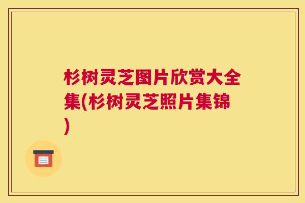 杉树灵芝图片欣赏大全集(杉树灵芝照片集锦)