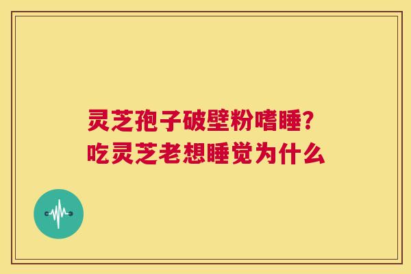 灵芝孢子破壁粉嗜睡？吃灵芝老想睡觉为什么