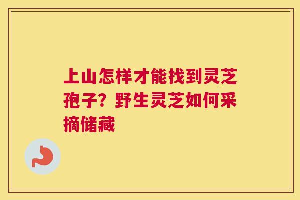 上山怎样才能找到灵芝孢子？野生灵芝如何采摘储藏