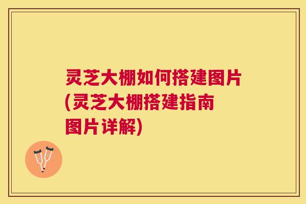 灵芝大棚如何搭建图片(灵芝大棚搭建指南 图片详解)