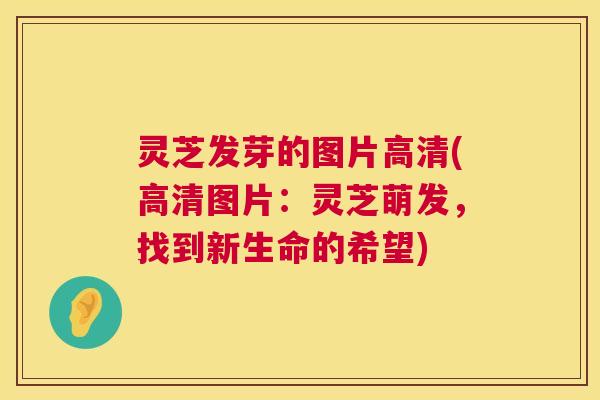 灵芝发芽的图片高清(高清图片：灵芝萌发，找到新生命的希望)
