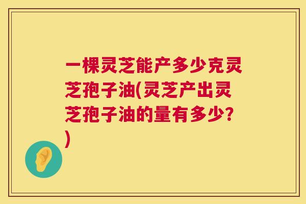 一棵灵芝能产多少克灵芝孢子油(灵芝产出灵芝孢子油的量有多少？)