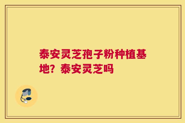 泰安灵芝孢子粉种植基地？泰安灵芝吗