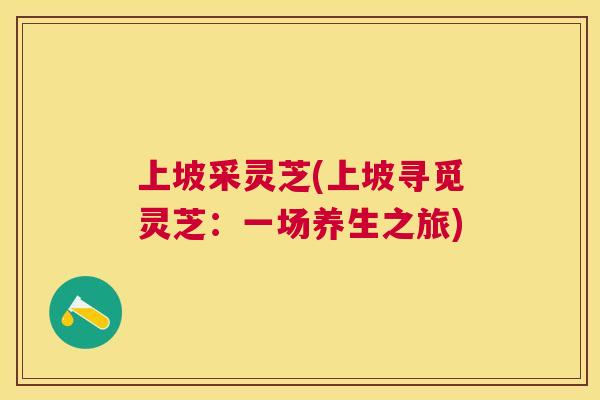 上坡采灵芝(上坡寻觅灵芝：一场养生之旅)