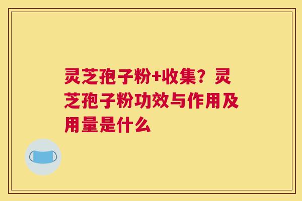 灵芝孢子粉+收集？灵芝孢子粉功效与作用及用量是什么