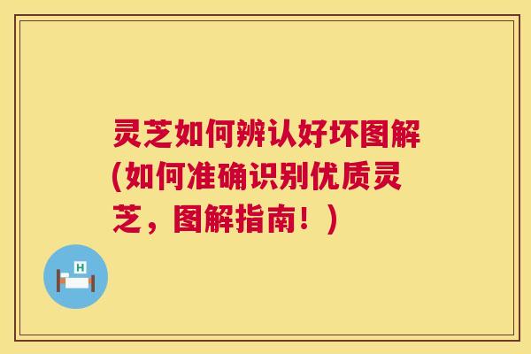 灵芝如何辨认好坏图解(如何准确识别优质灵芝，图解指南！)
