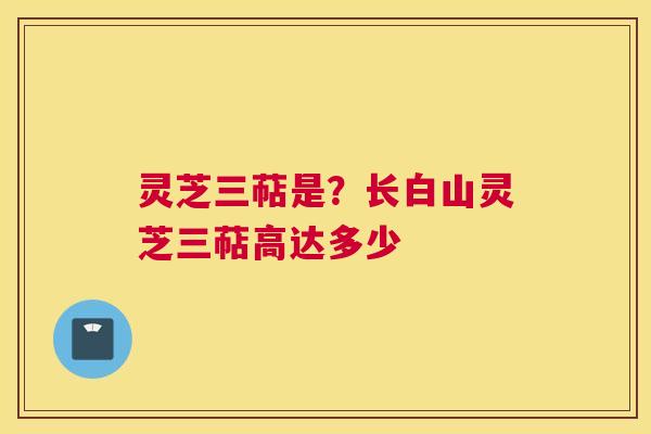 灵芝三萜是？长白山灵芝三萜高达多少