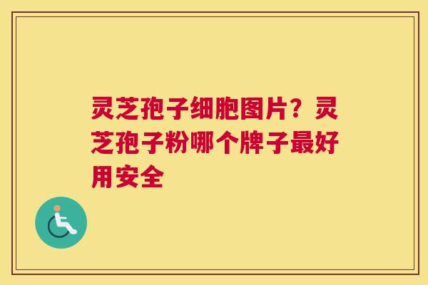 灵芝孢子细胞图片？灵芝孢子粉哪个牌子好用安全