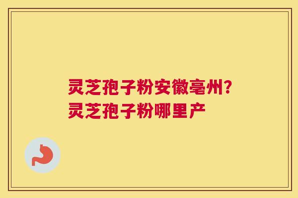 灵芝孢子粉安徽亳州？灵芝孢子粉哪里产