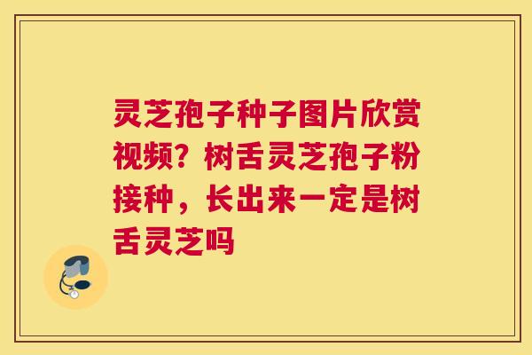灵芝孢子种子图片欣赏视频？树舌灵芝孢子粉接种，长出来一定是树舌灵芝吗