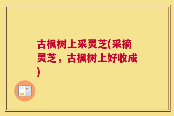 古枫树上采灵芝(采摘灵芝，古枫树上好收成)