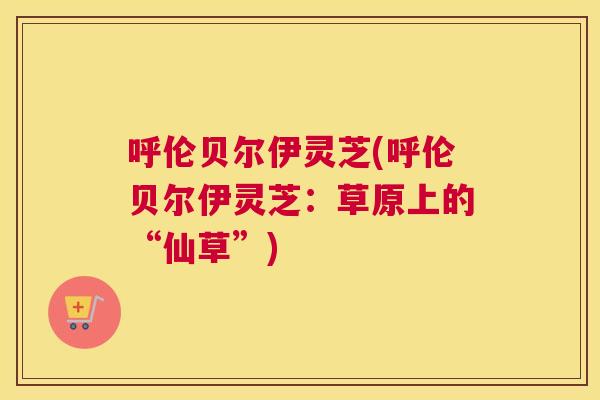 呼伦贝尔伊灵芝(呼伦贝尔伊灵芝：草原上的“仙草”)