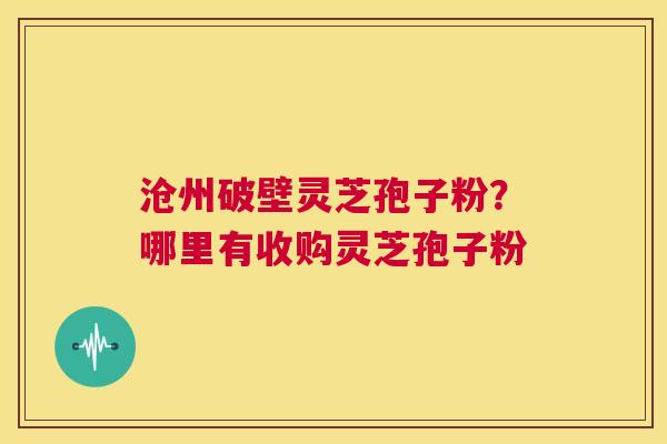沧州破壁灵芝孢子粉？哪里有收购灵芝孢子粉