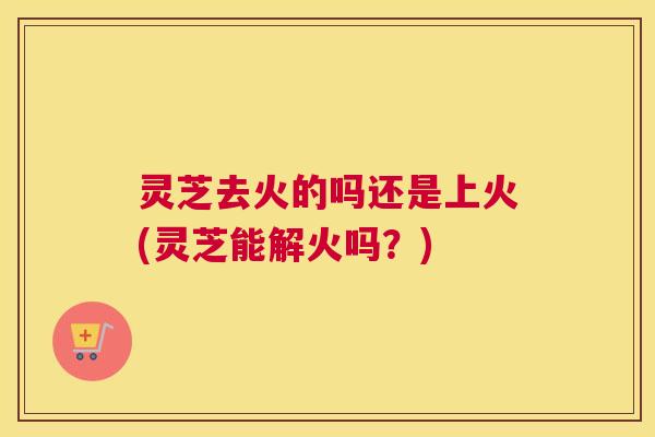 灵芝去火的吗还是上火(灵芝能解火吗？)
