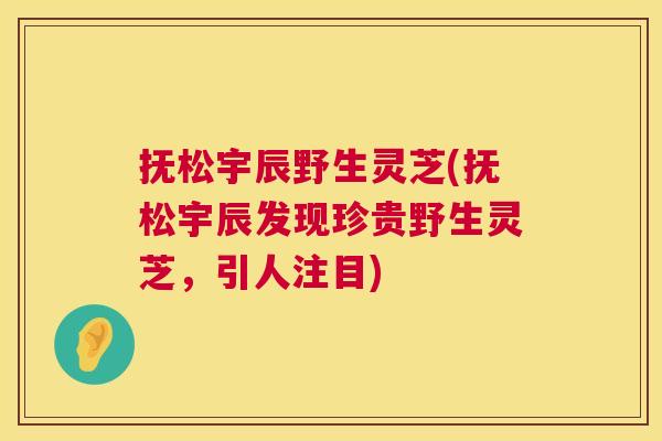 抚松宇辰野生灵芝(抚松宇辰发现珍贵野生灵芝，引人注目)