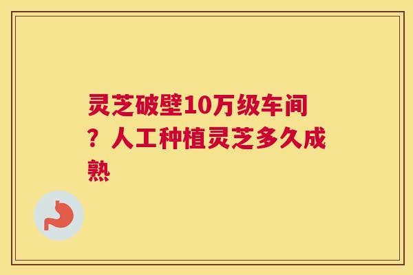 灵芝破壁10万级车间？人工种植灵芝多久成熟