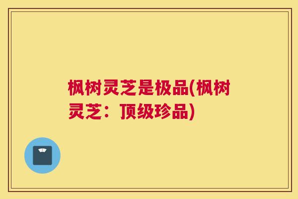枫树灵芝是极品(枫树灵芝：珍品)