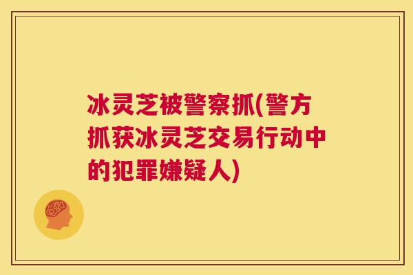 冰灵芝被警察抓(警方抓获冰灵芝交易行动中的犯罪嫌疑人)