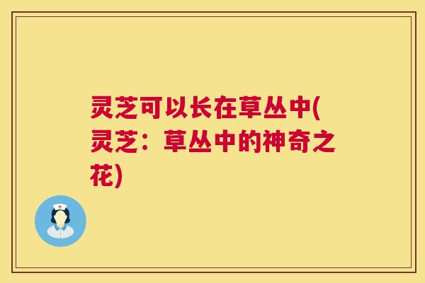 灵芝可以长在草丛中(灵芝：草丛中的神奇之花)