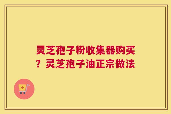 灵芝孢子粉收集器购买？灵芝孢子油正宗做法