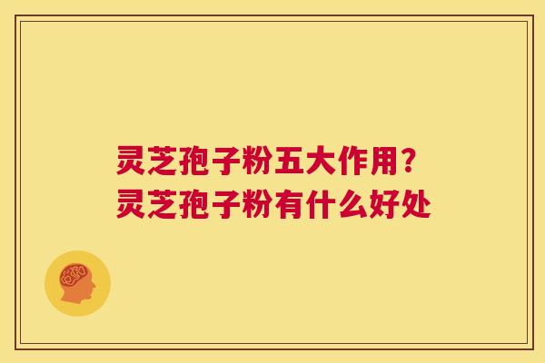 灵芝孢子粉五大作用？灵芝孢子粉有什么好处