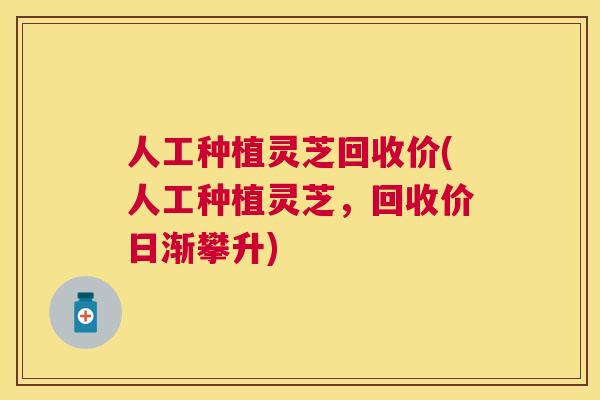 人工种植灵芝回收价(人工种植灵芝，回收价日渐攀升)