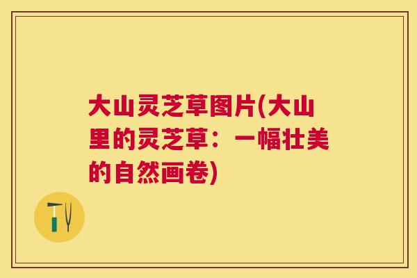 大山灵芝草图片(大山里的灵芝草：一幅壮美的自然画卷)