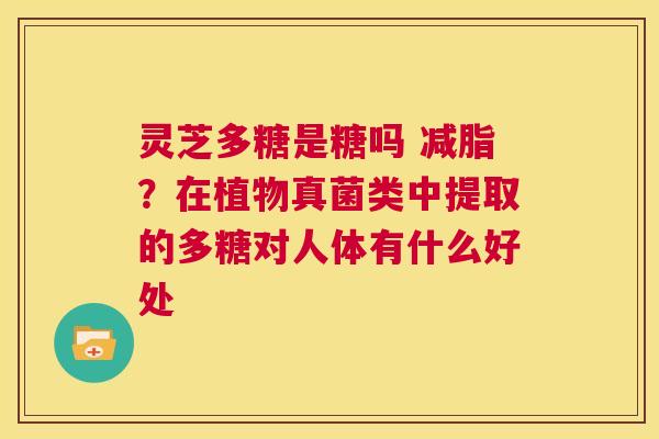灵芝多糖是糖吗 减脂？在植物真菌类中提取的多糖对人体有什么好处